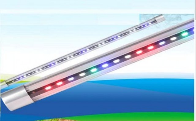 t8 aquarium light